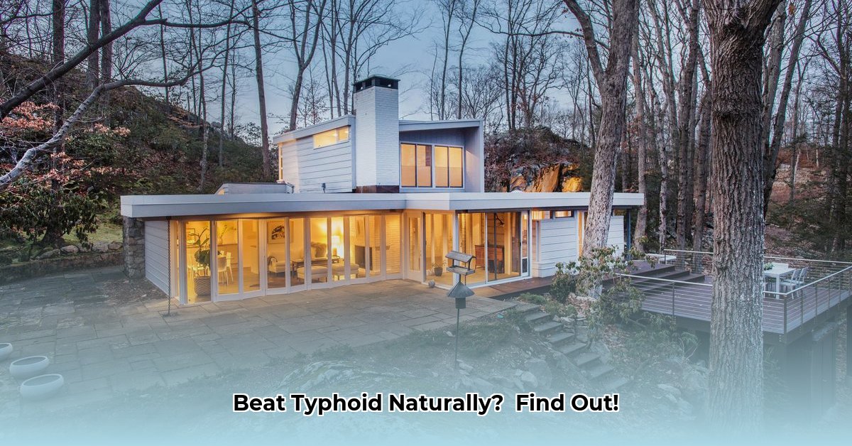 home-remedies-for-typhoid